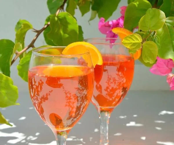 Veranda House * Pollonia