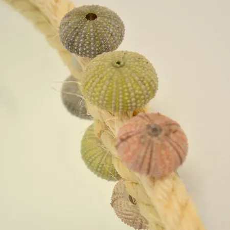 Σπίτι διακοπών Veranda House Πολλώνια