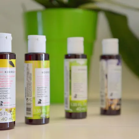 Σπίτι διακοπών Veranda House Πολλώνια